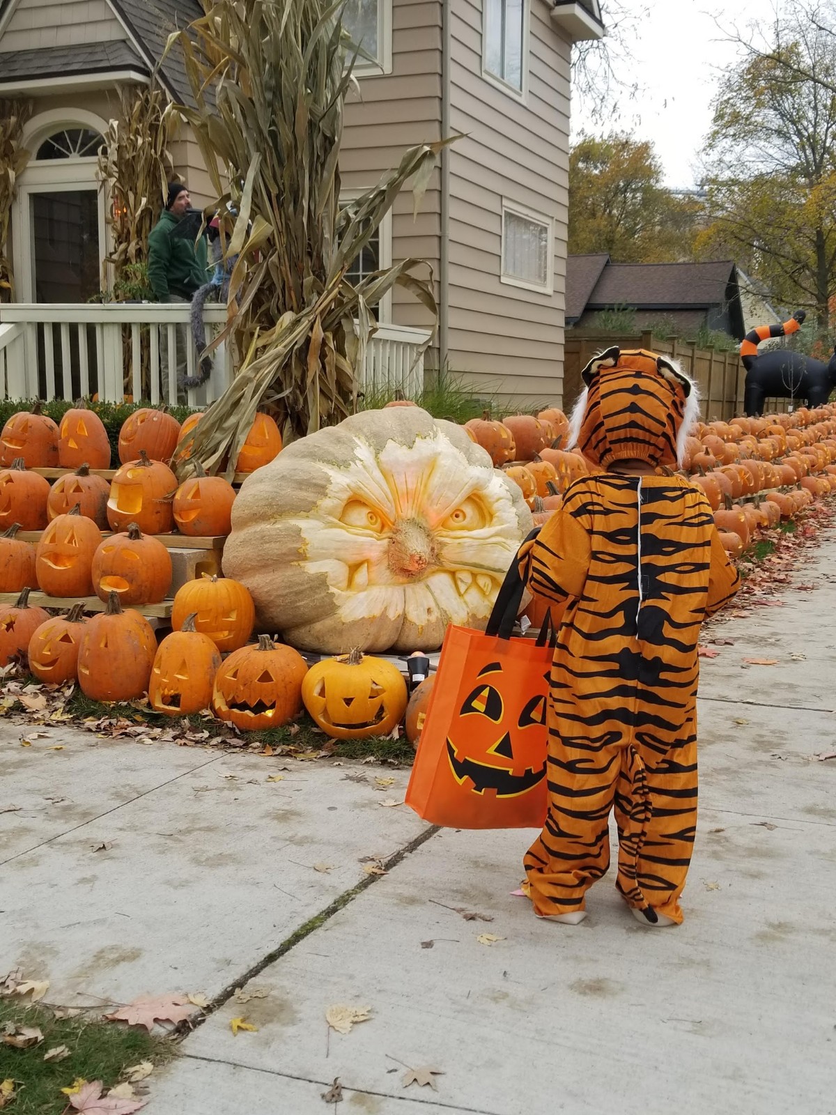 halloween in Shepherd Michigan